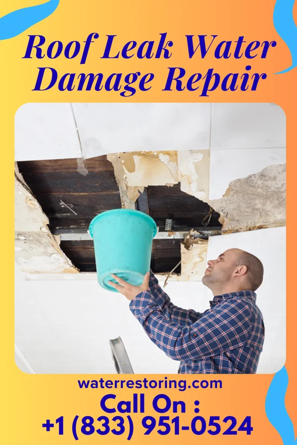 Roof Leak Water Damage Repair in Manatee Road, FL